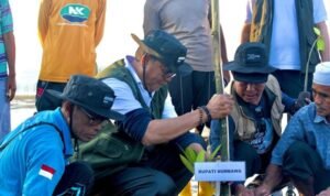 Bupati Tanam Mangruf