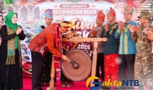 Oplus_131072